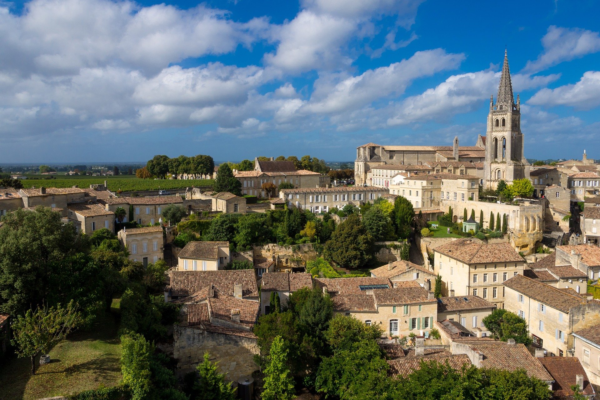 prenota una guida ad saint emilion