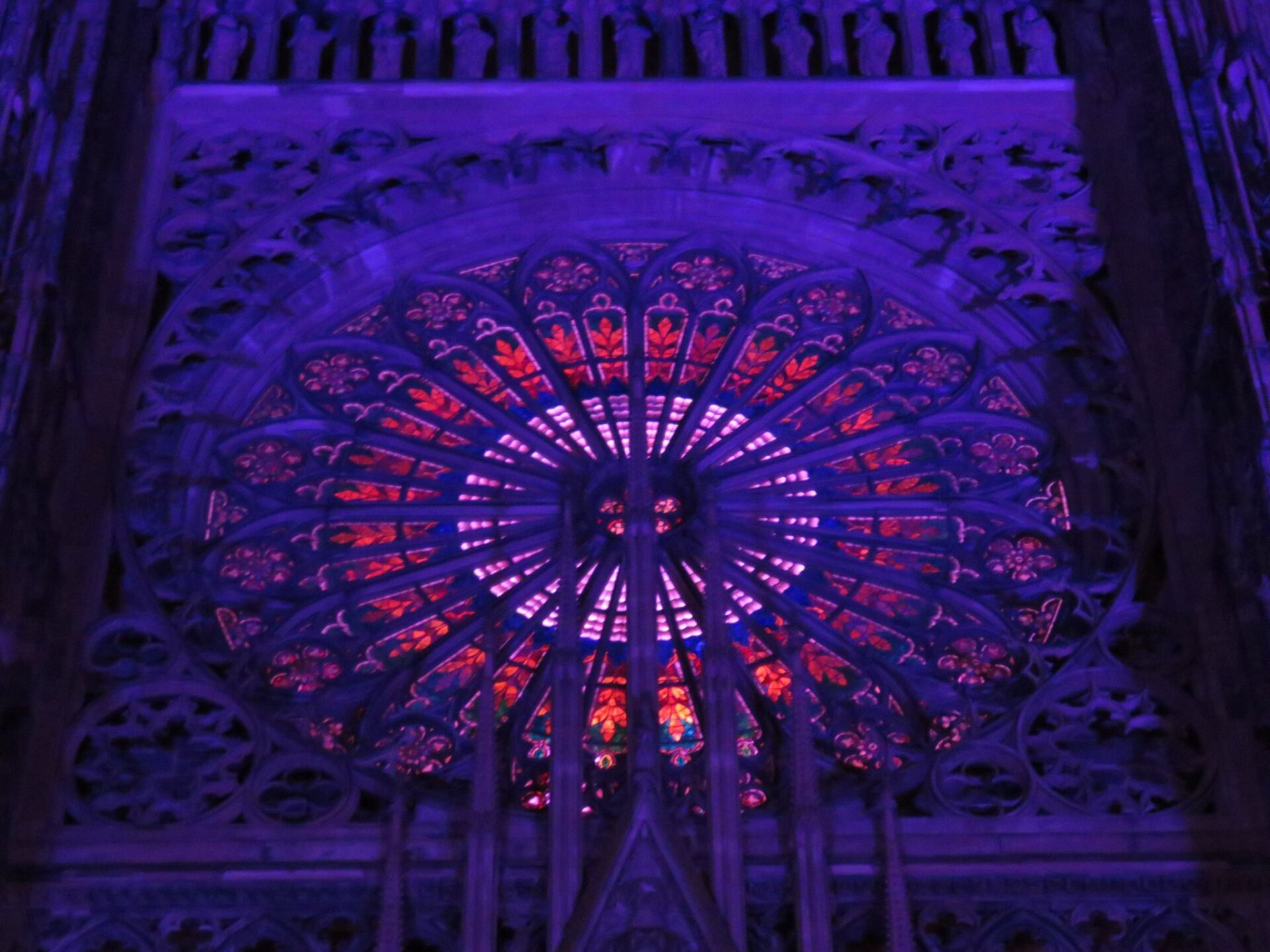 Rosace cathédrale Strasbourg