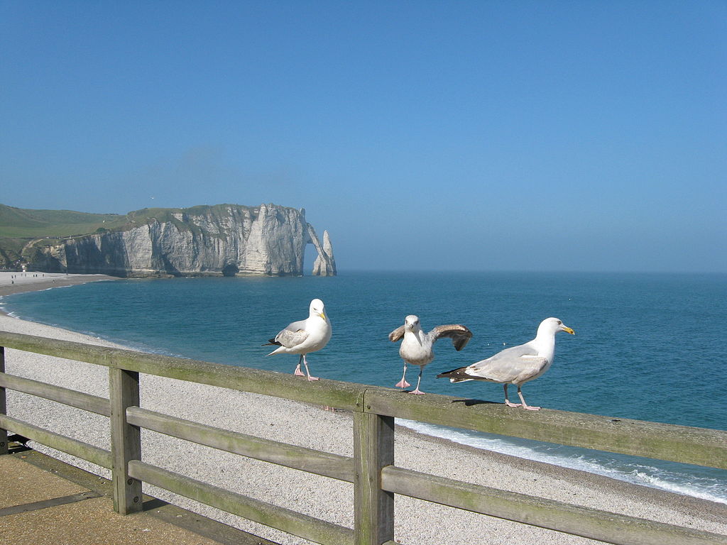 Etretat