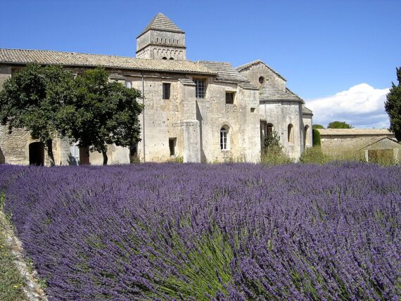 Guide Touristique Saint Rémy de Provence, Guide Saint Rémy de Provence, Visite Guidée Saint Rémy de Provence