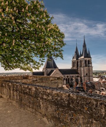 Guide Touristique Blois