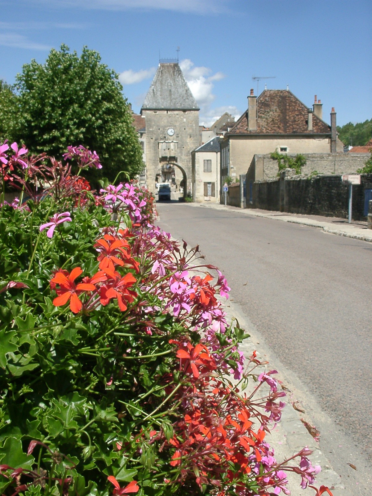 Noyers sur Serein, Guide Touristique Noyers, Escursione Noyers sur Serein