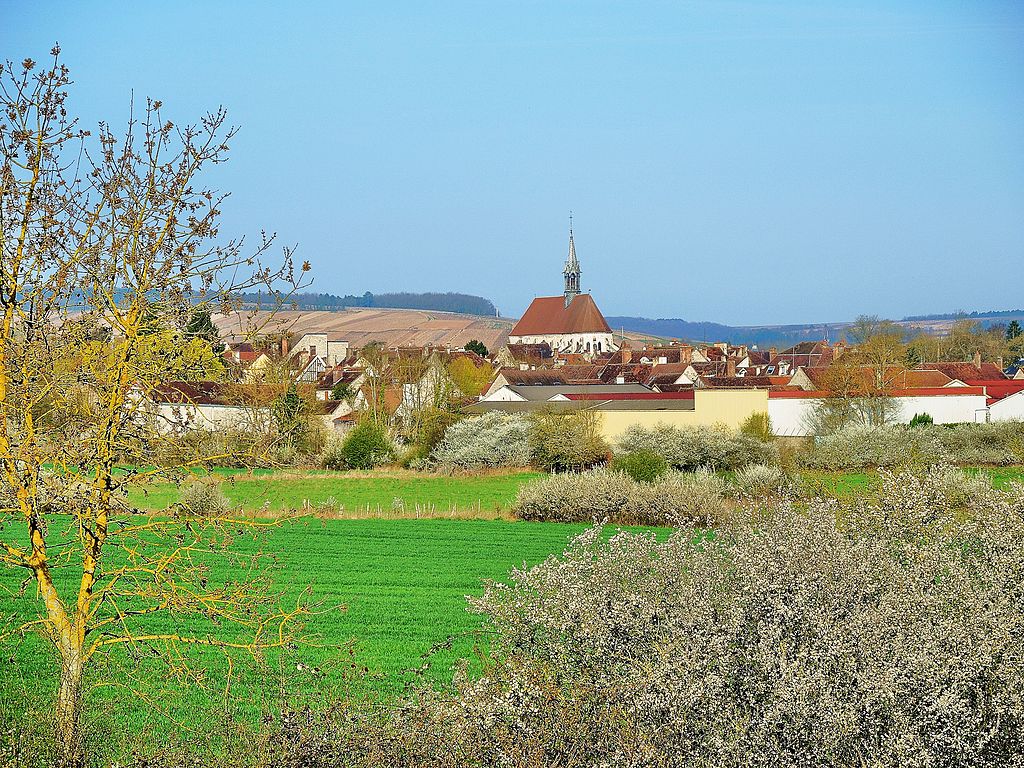 Visite Guidée Chablis , Escursione Chablis