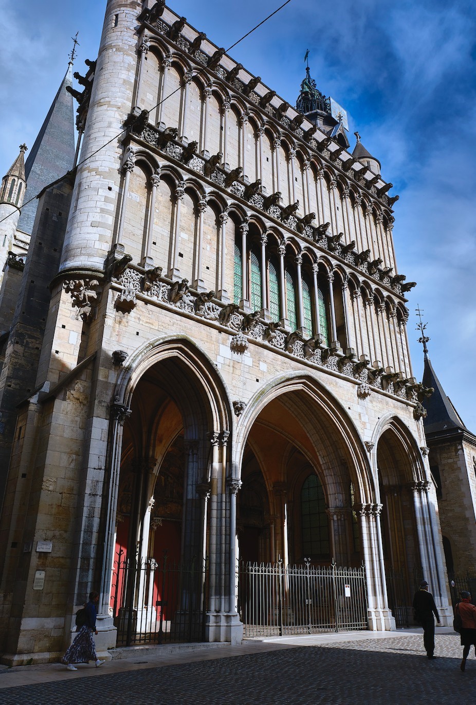 Guide Dijon, Visite Dijon, Visite Guidée Dijon, Escursione Dijon