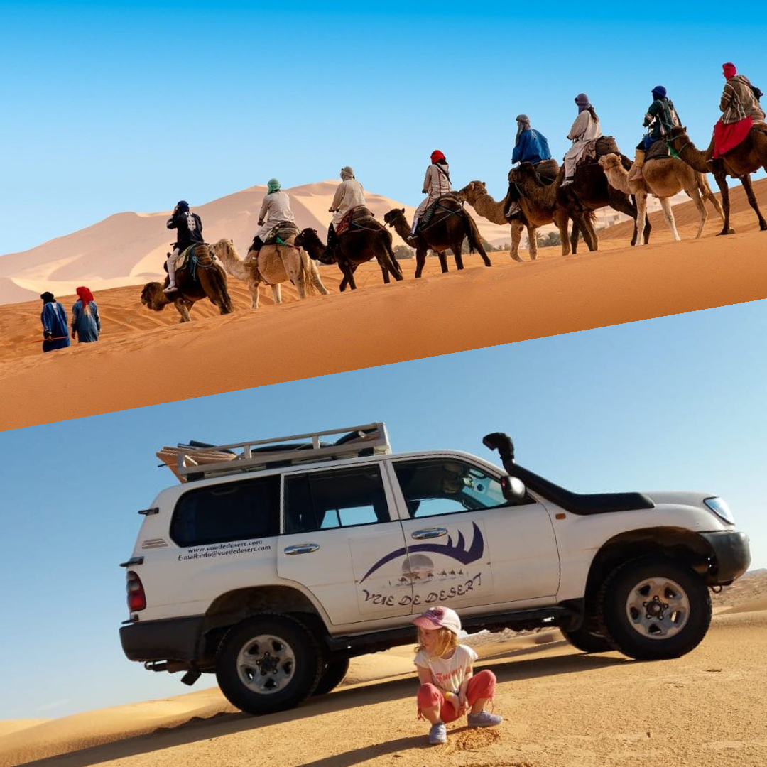 My project Excursion Chameau 4x4 Douz, Excursion dromadaire 4x4 Douz