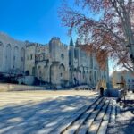 Escursione ad Avignone, Visita Avignone, Guide Francia, Guide Avignone