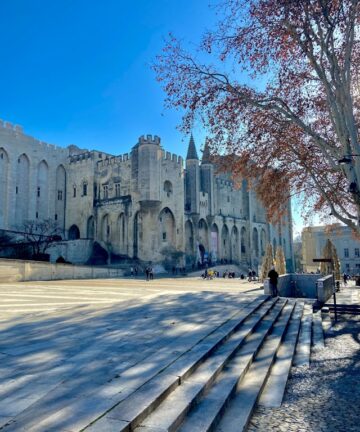 Escursione ad Avignone, Visita Avignone, Guide Francia, Guide Avignone