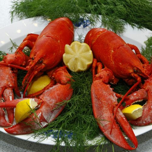 lobster-1608440_1280