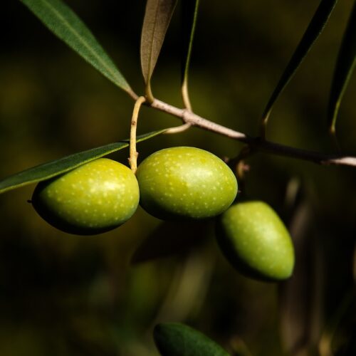 olives-1955275_1280